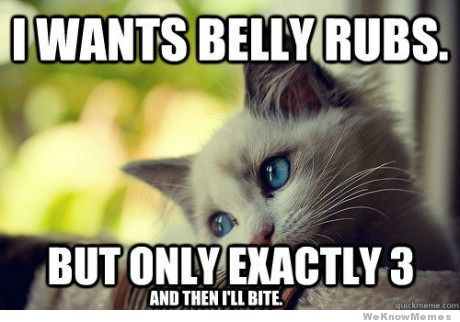 i-wants-belly-rubs
